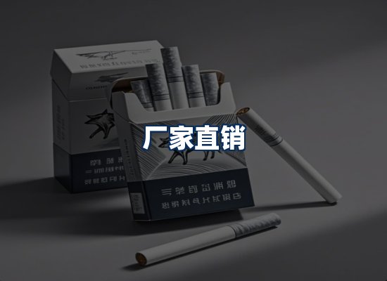 专业团队办公环境